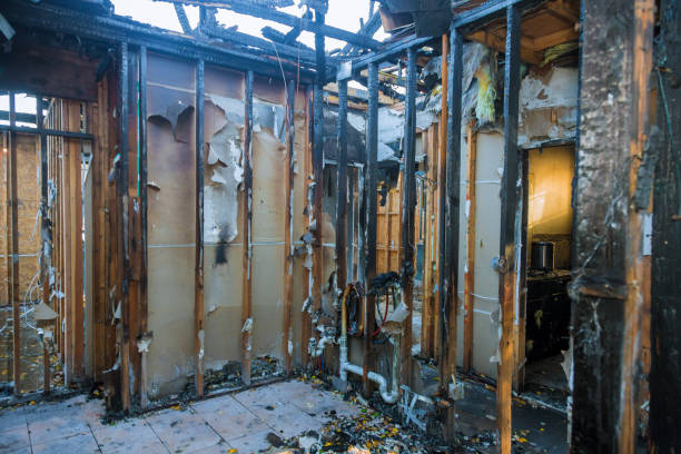 Professional Fire Damage Removal technician working in Southwest Ranches, FL